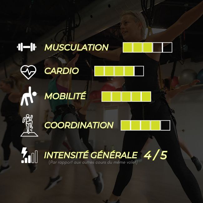 Bungee Workout