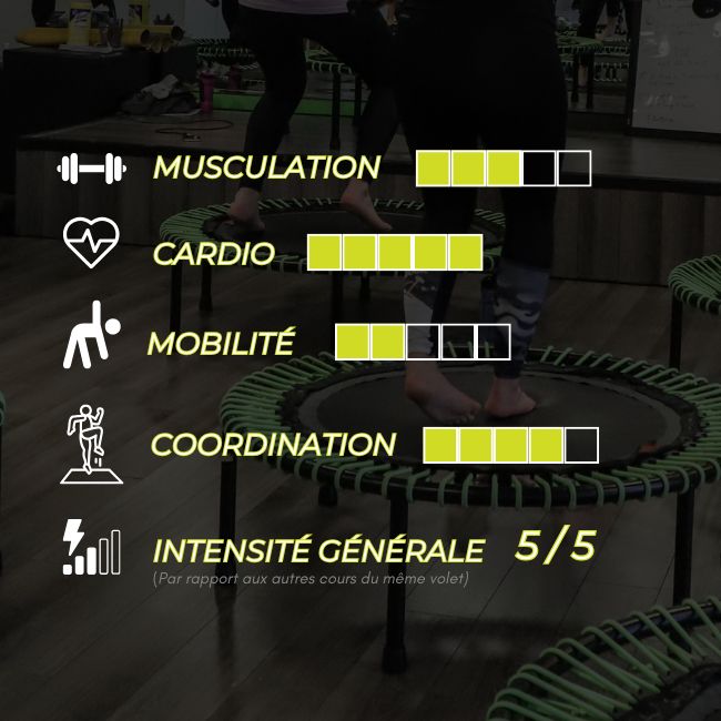 Trampo Bootcamp