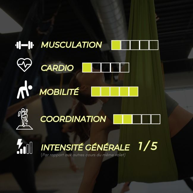 Yoga Hamac